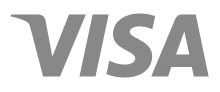 Elavon company logo with a stylized arc in blue above the 'v'.