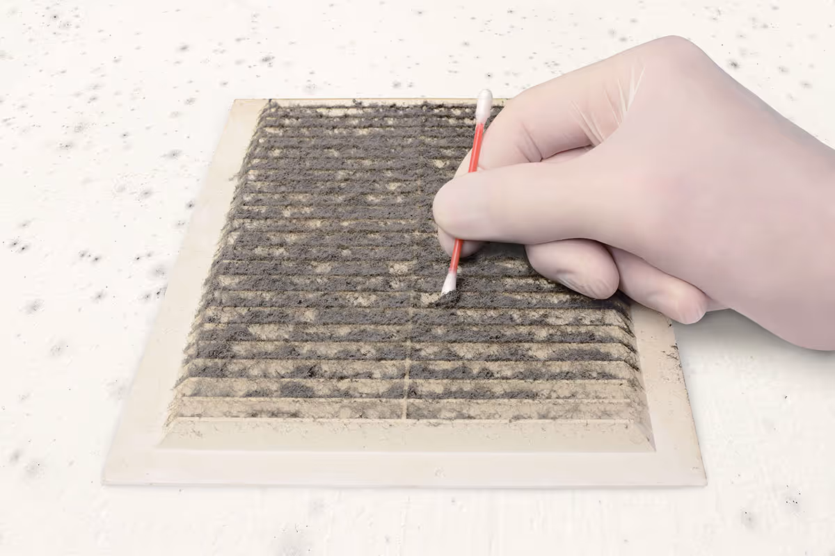 Dust testing for mold by Precision Mold Testing.