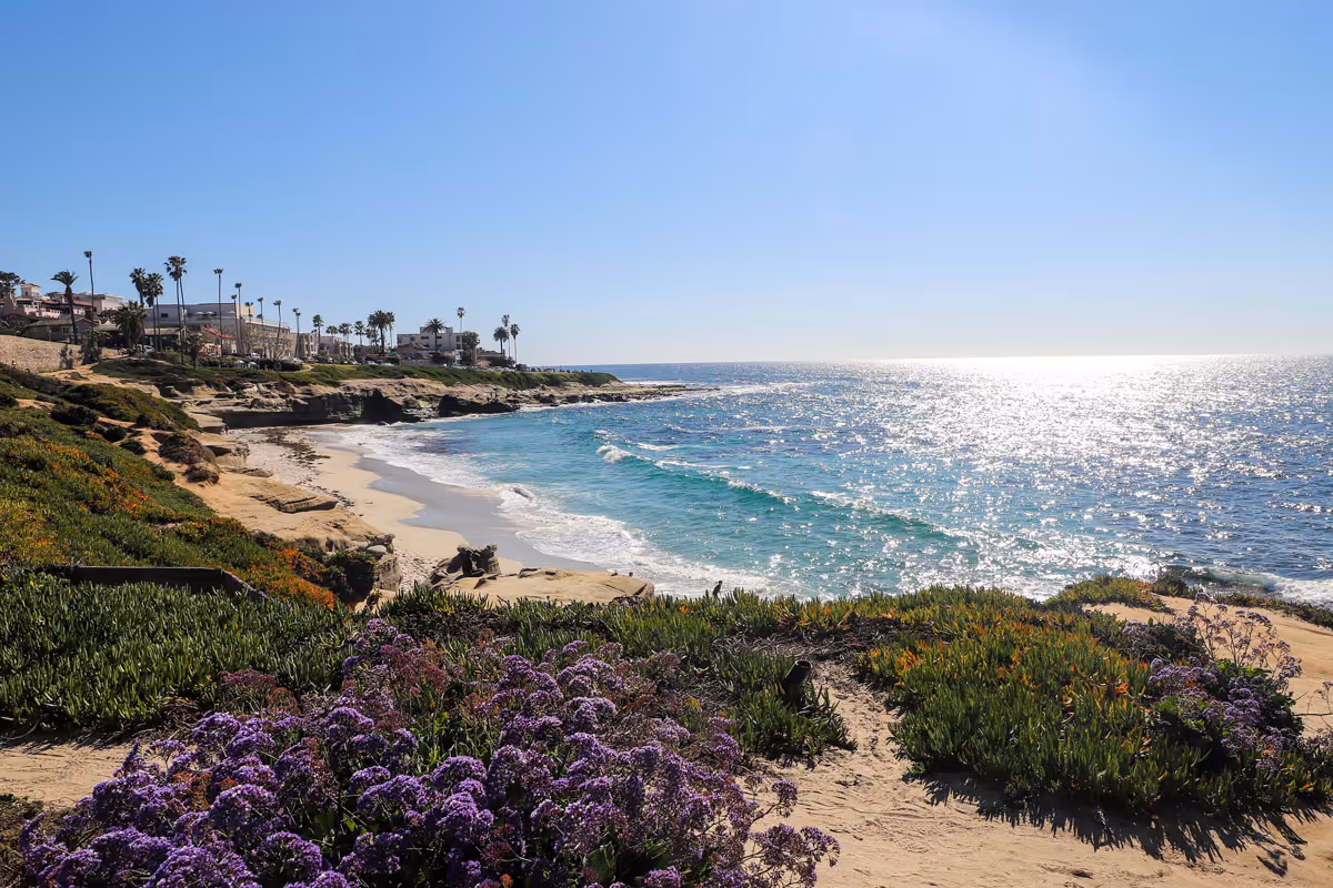 San Diego beach.