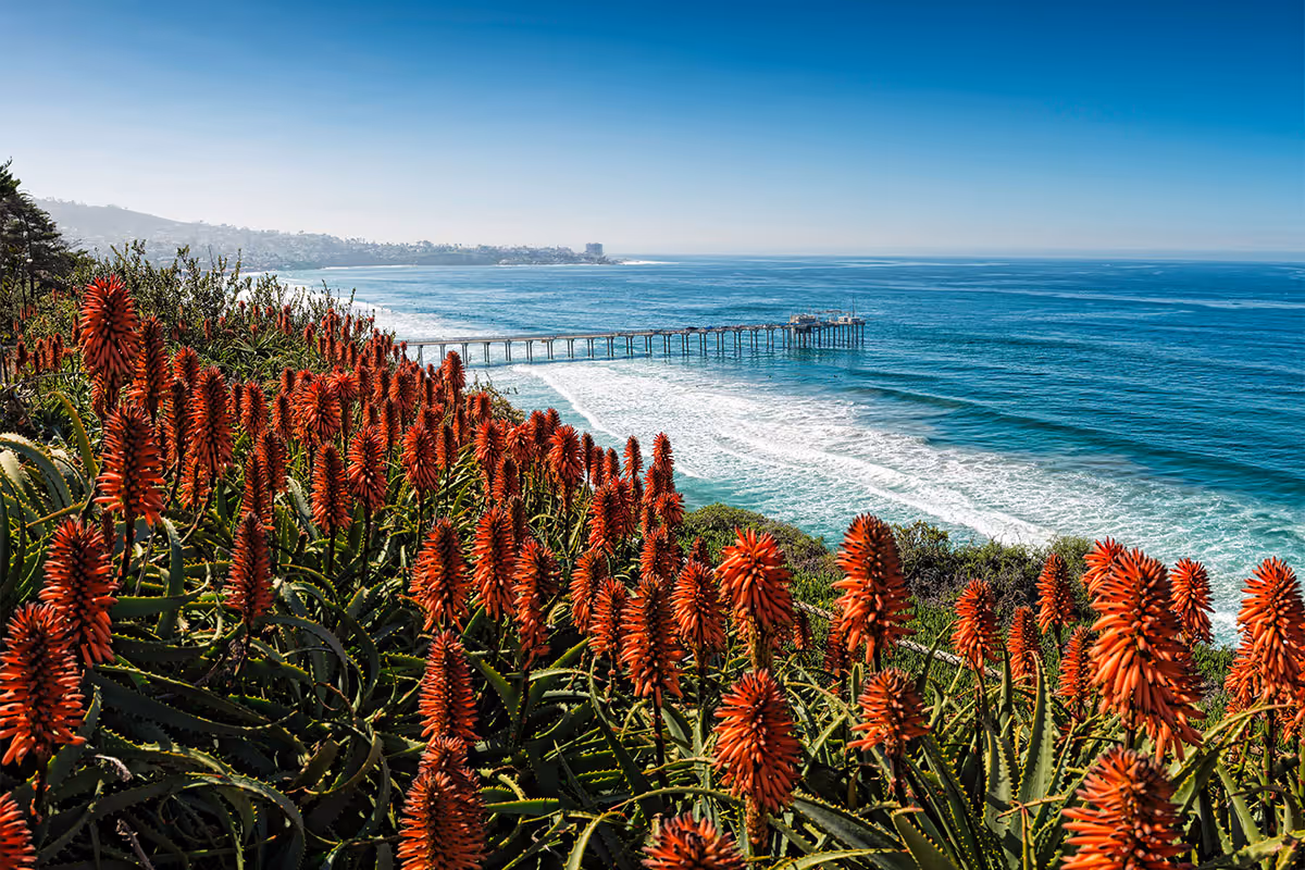 La Jolla, California.