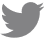 Twitter bird logo in gray.