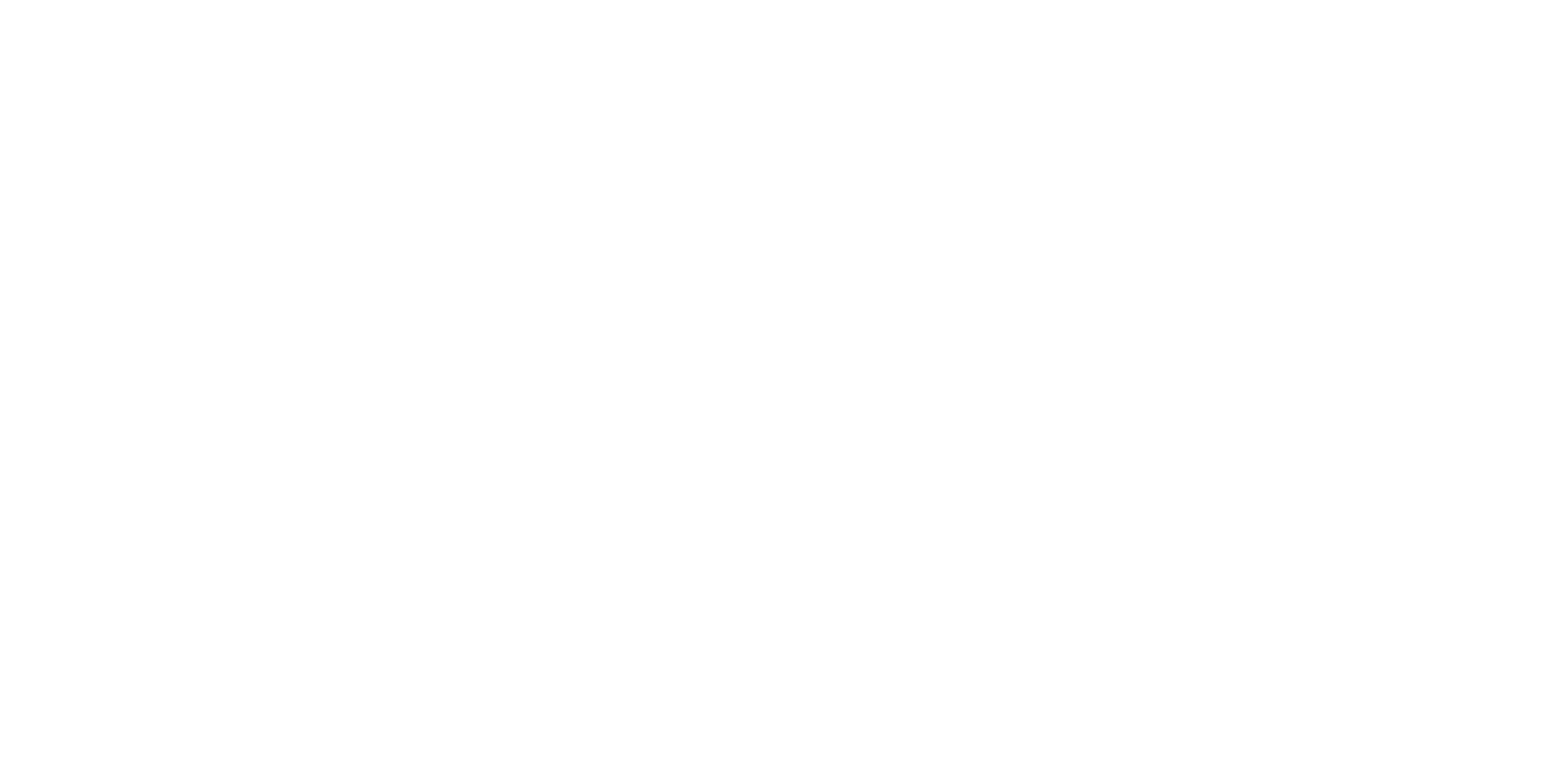 DSH company logo in white