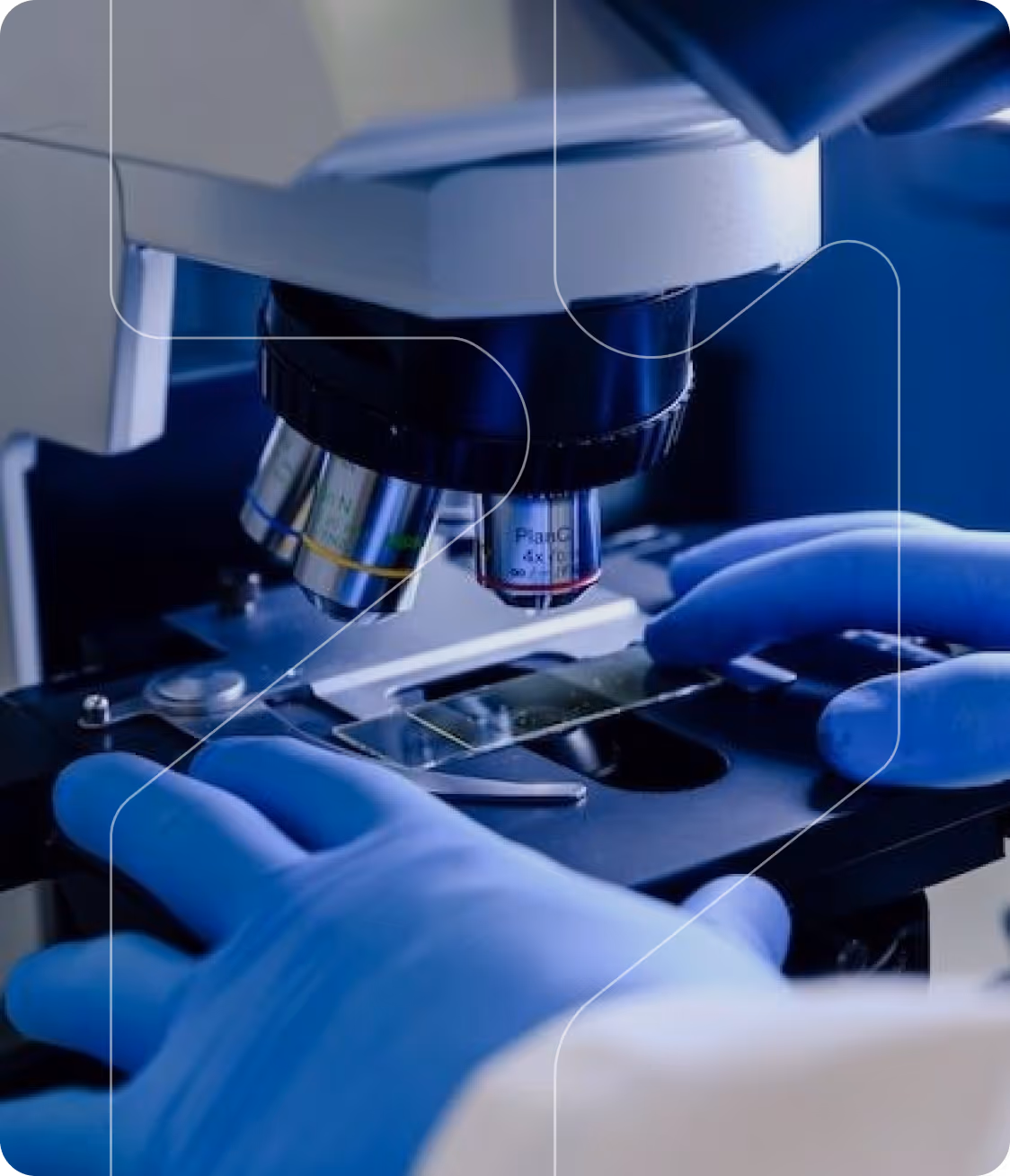 Gloved hands adjusting a microscope slide under objective lenses in a laboratory setting.