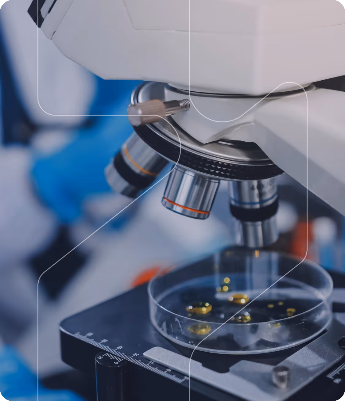 Close-up of a microscope focusing on a petri dish with yellow liquid droplets inside a lab.