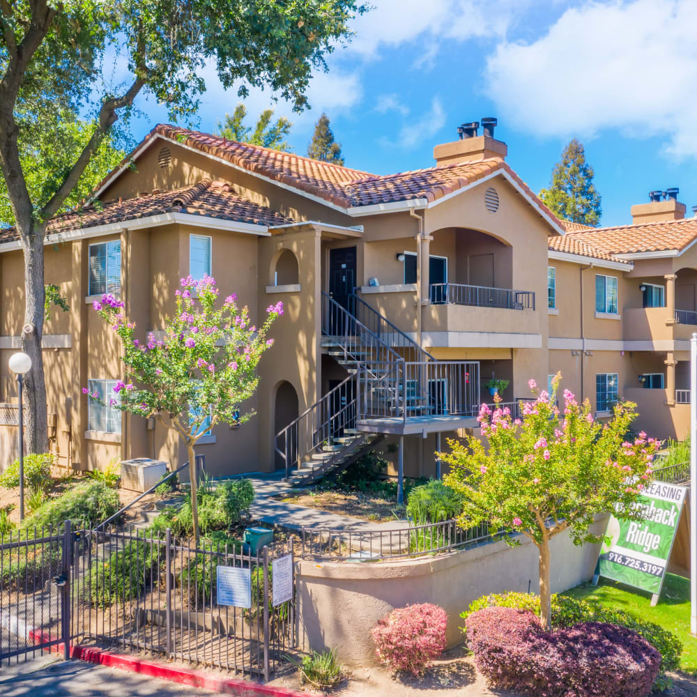 Exterior of apartments with flower trees