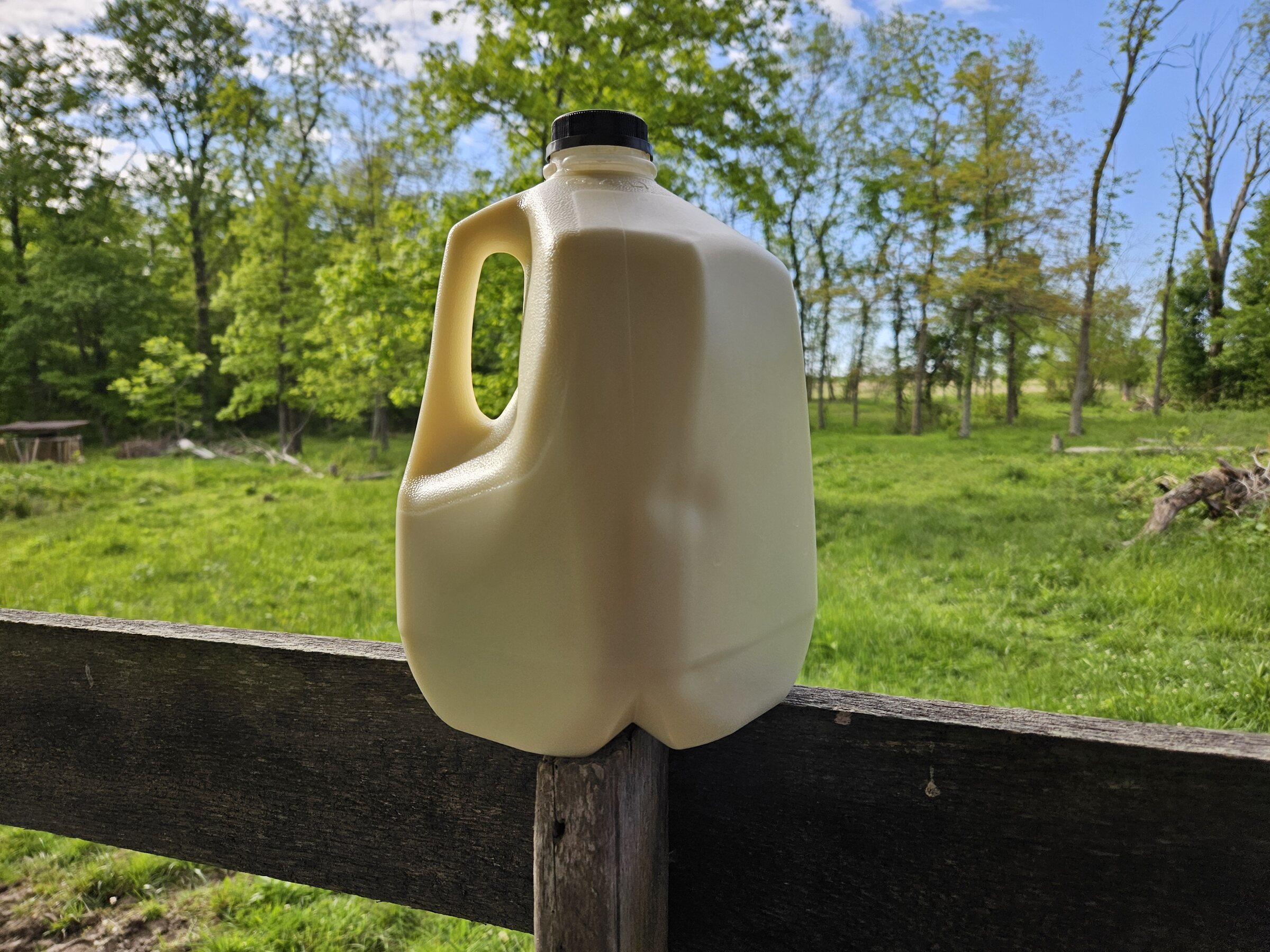 Glass jug of farm-fresh milk on a fence post at City Bird Farm