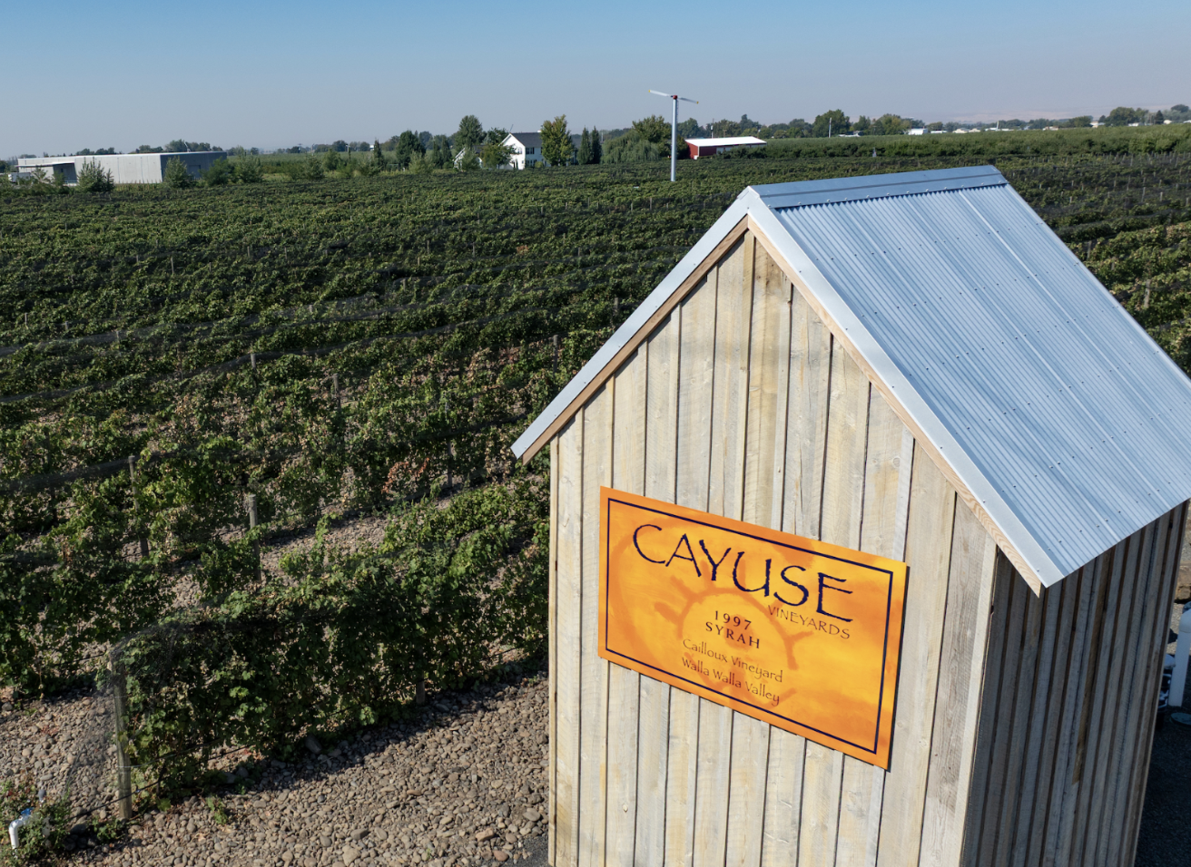Cayuse Vineyards sign on a wooden shed among the vines