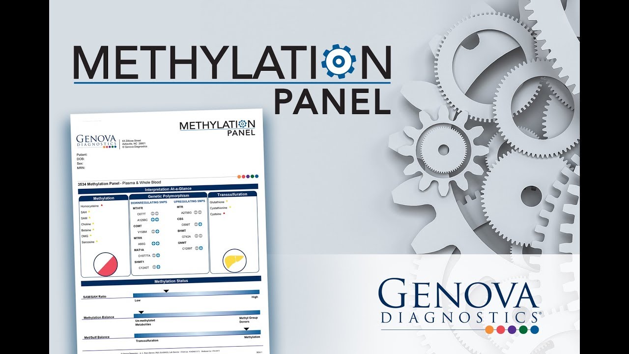 Genova methylation panel test