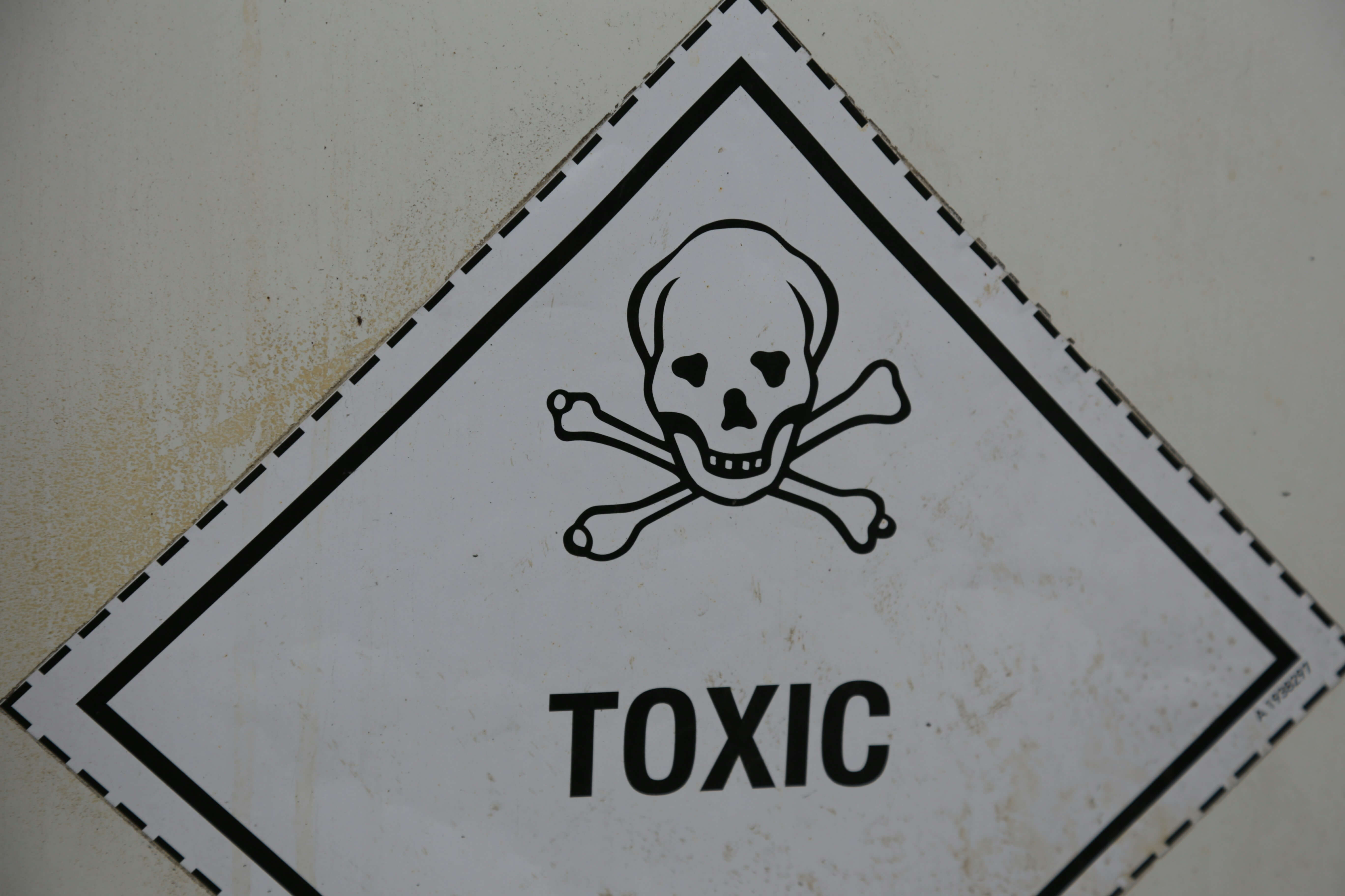 Heavy metal toxic burden concept
