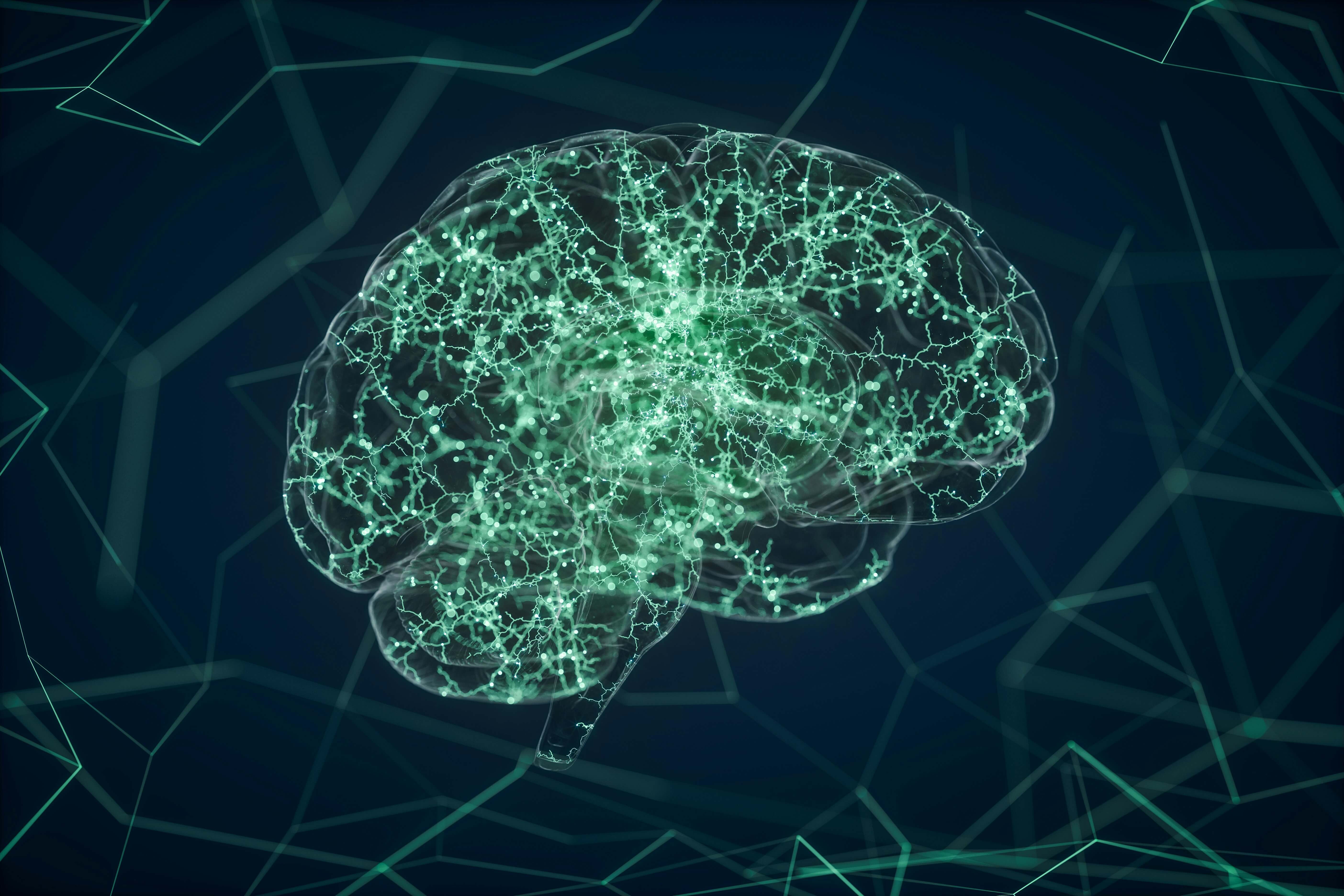 Cerebral folate deficiency concept