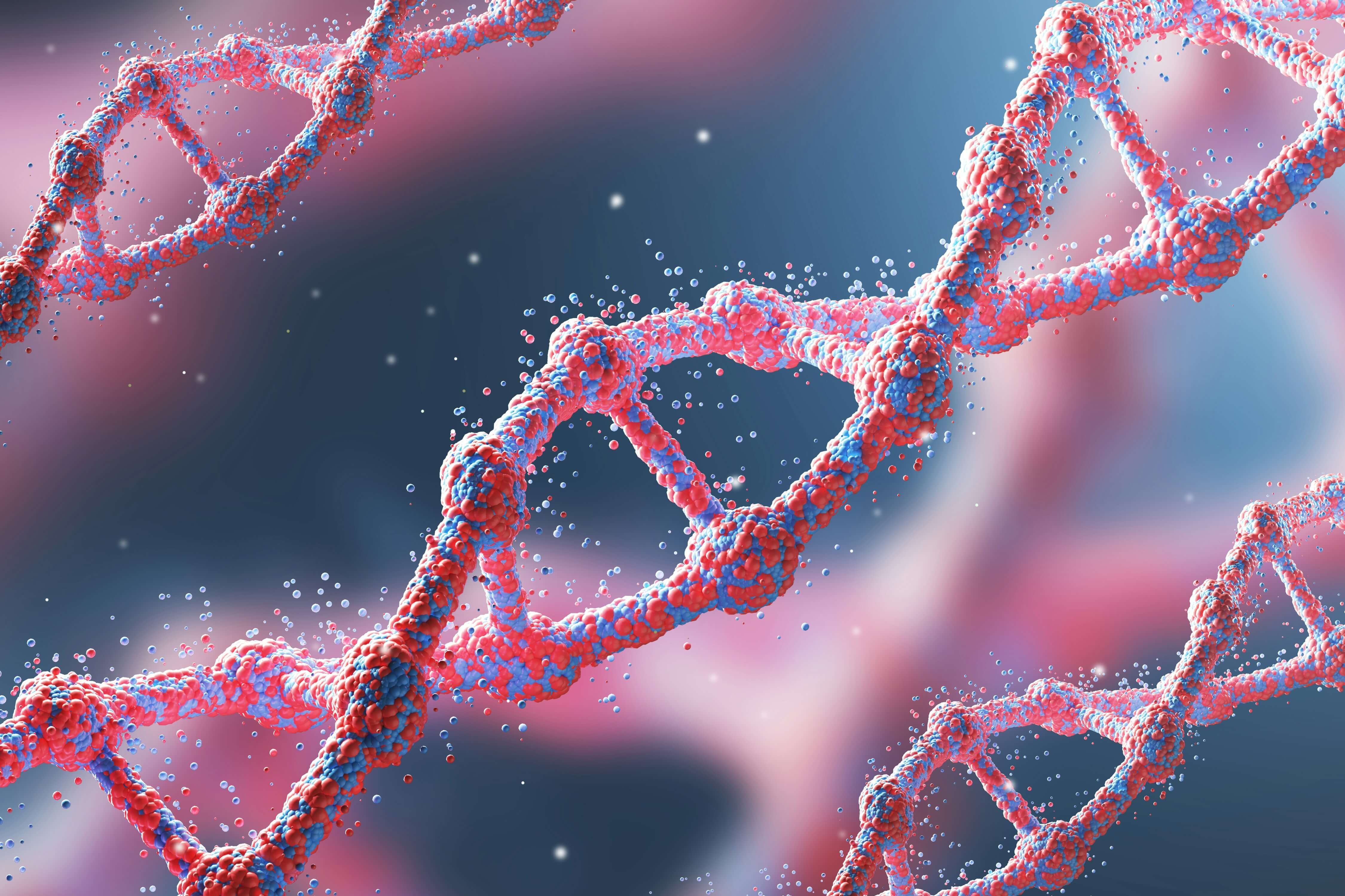 DNA methylation and MTHFR
