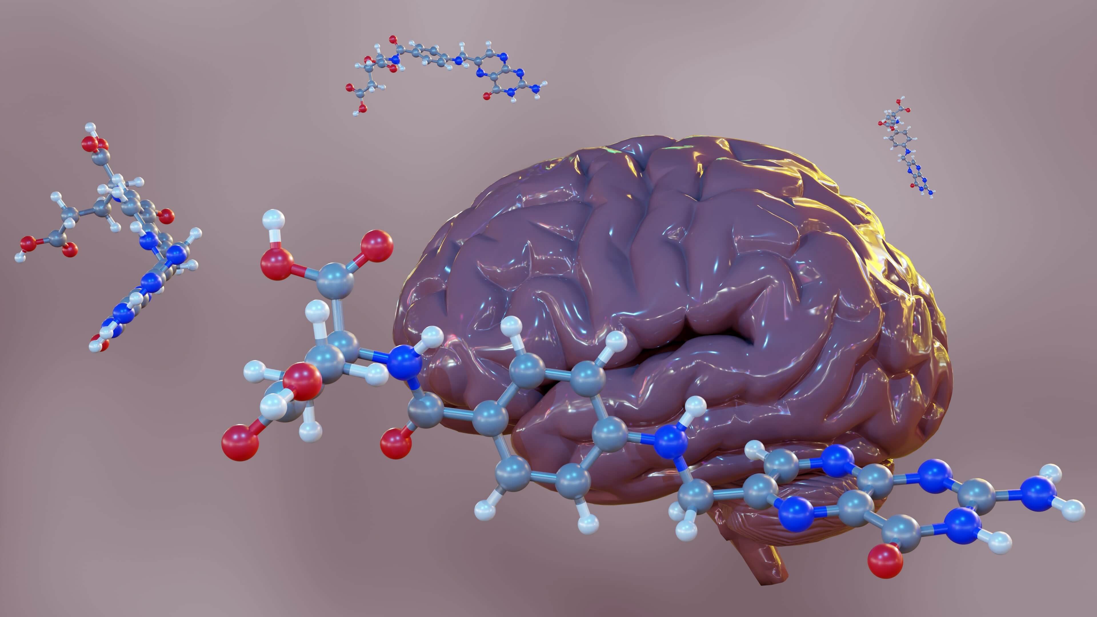 Folate transport across the blood-brain barrier