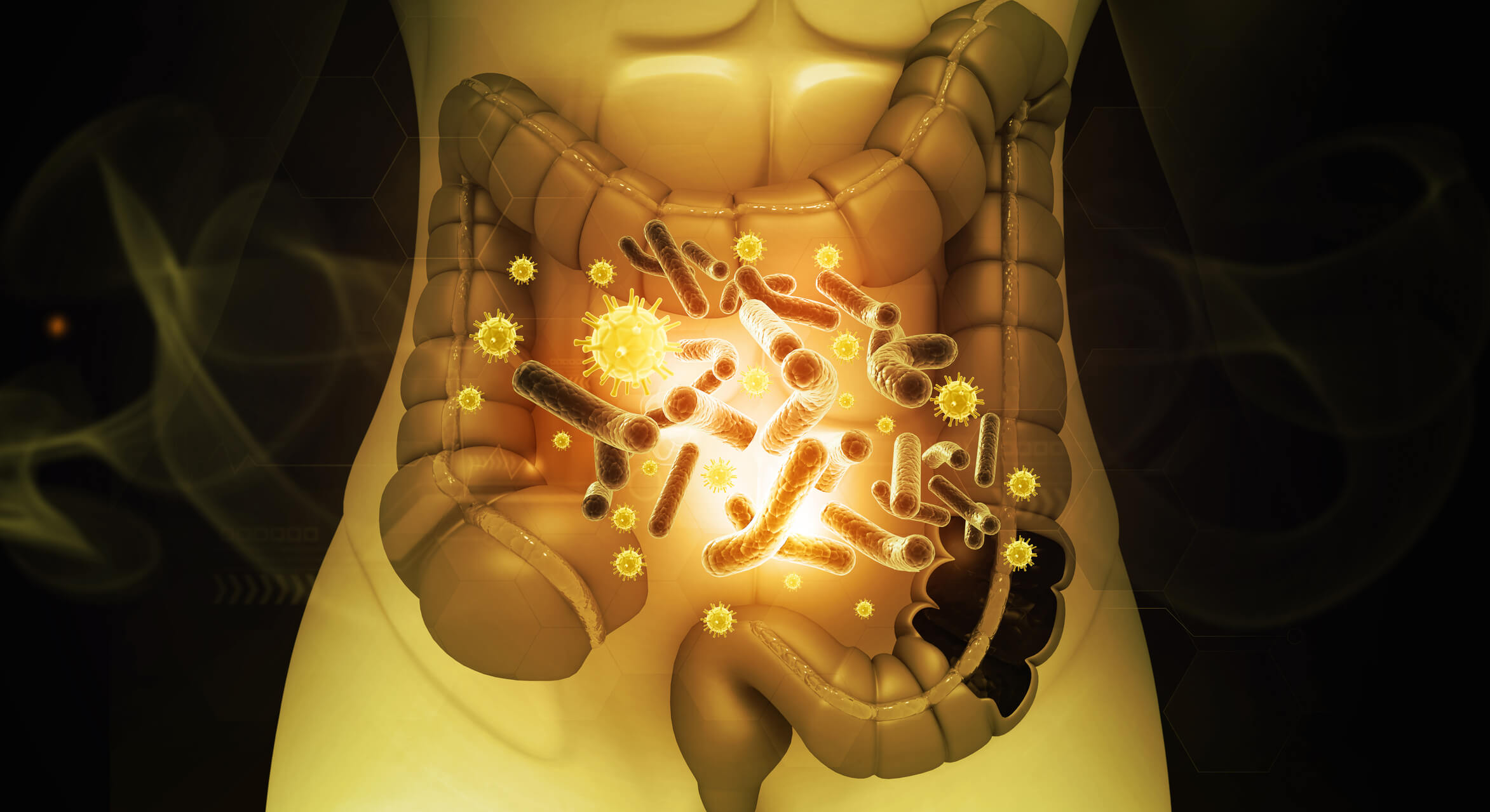 Gut barrier and microbiome