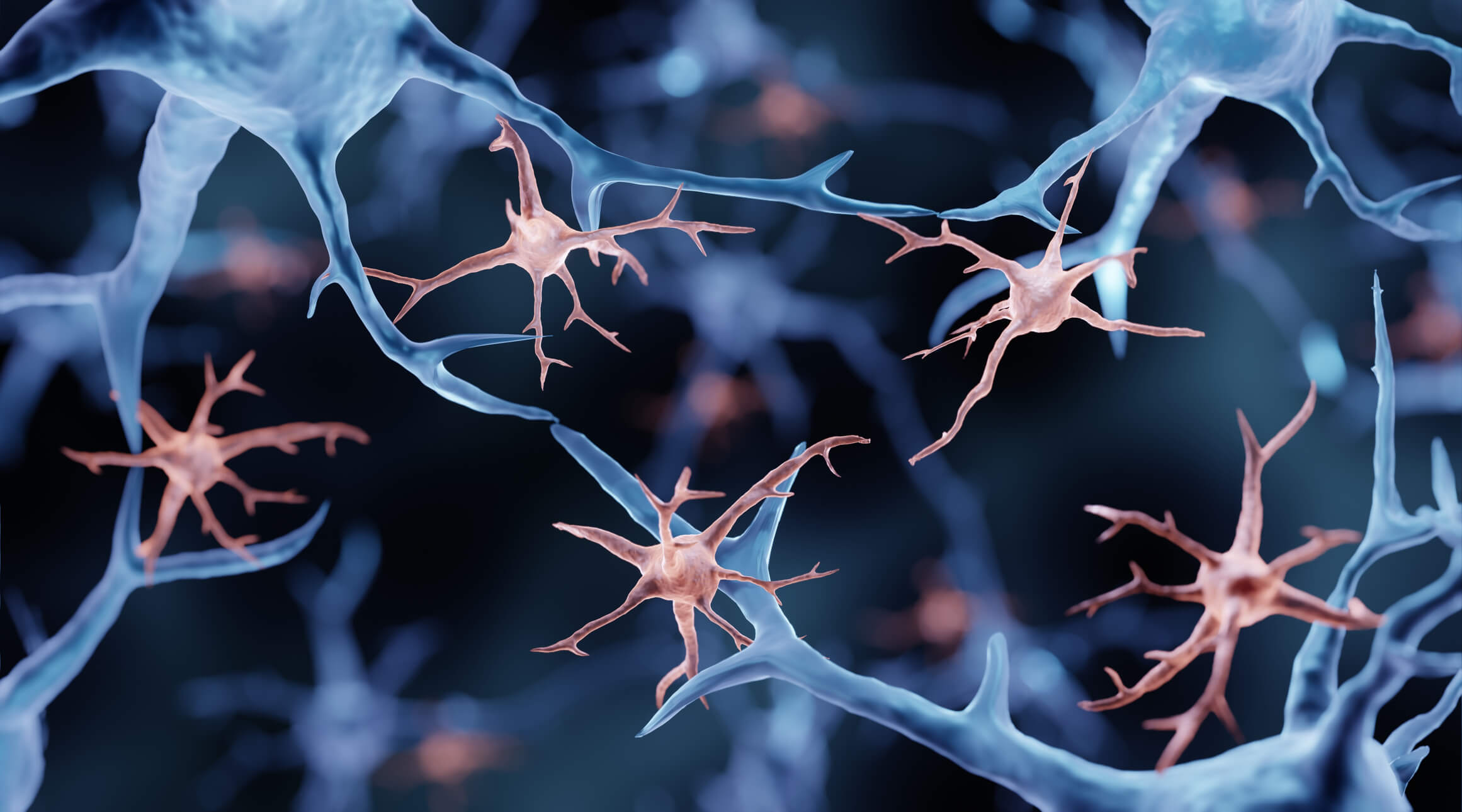 Microglia, the brain's immune cells