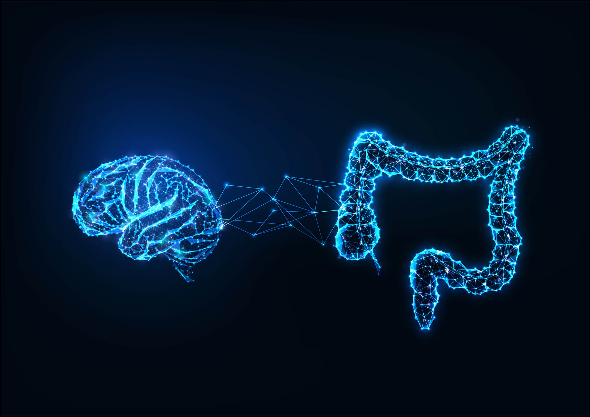 The gut-brain connection