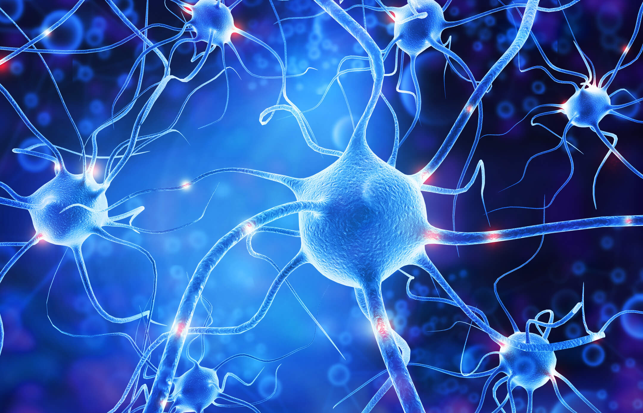 A neuron synapse, reflecting the neurotransmitter markers on the OAT
