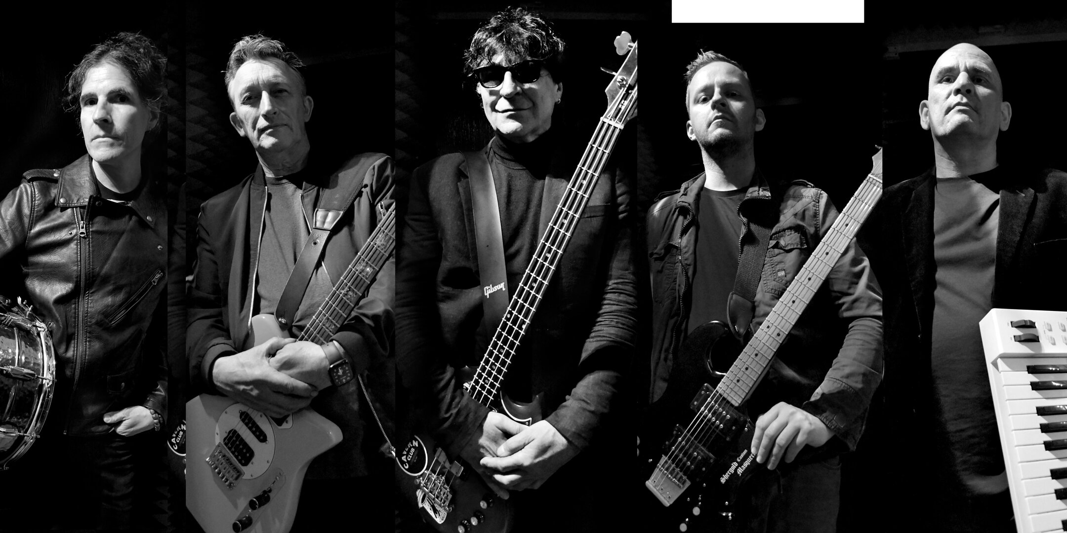 The Chameleons