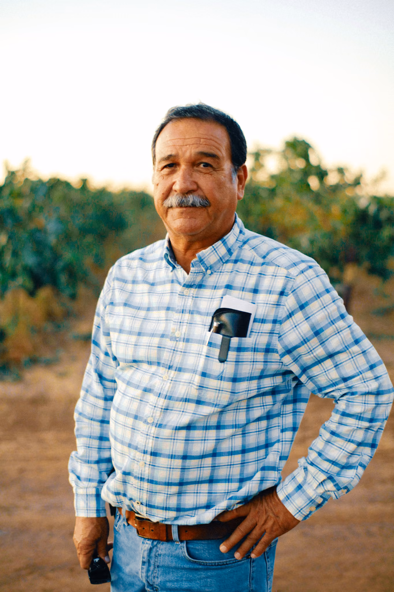 A vineyard ranch manager standing between rows of California vines at dusk