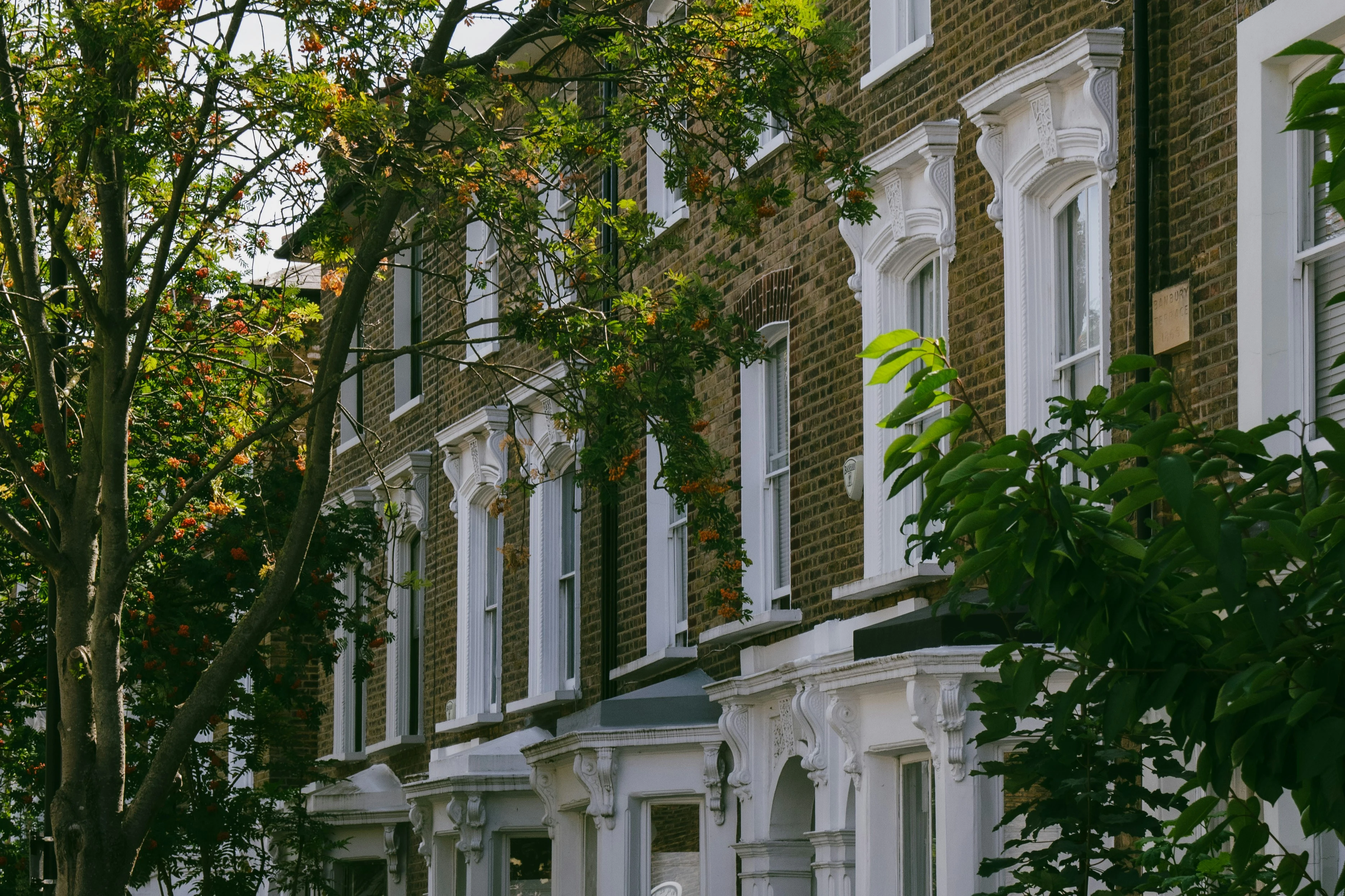Georgian terraced houses with 6-over-6 sash windows, London