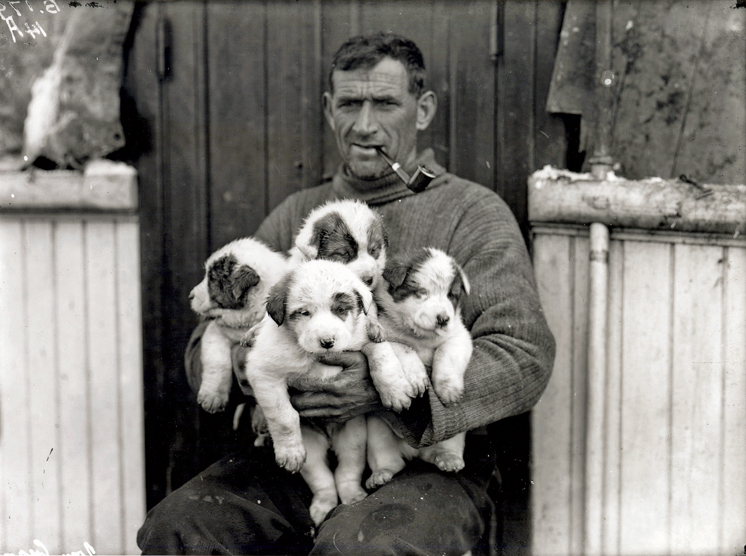 Man smoking pipe holding four fluffy puppies in his arms while sitting in front of a wooden door.