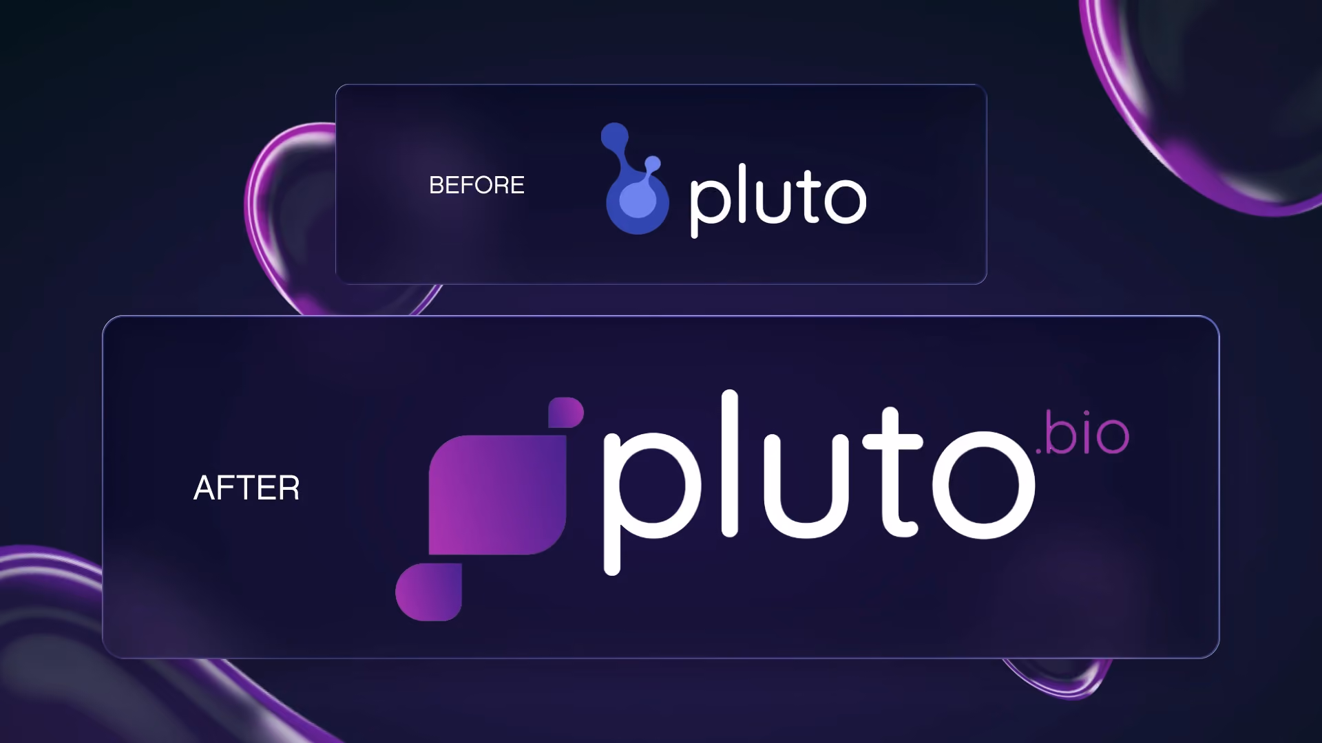 pluto identity rebrand