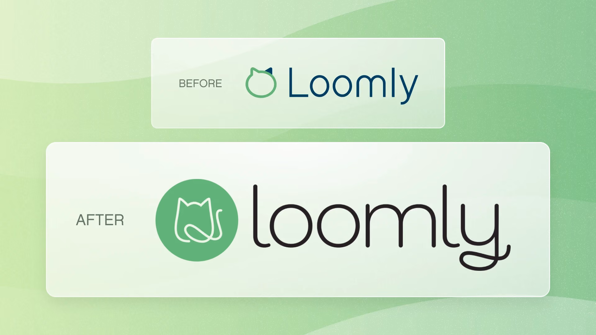 loomly identity rebrand