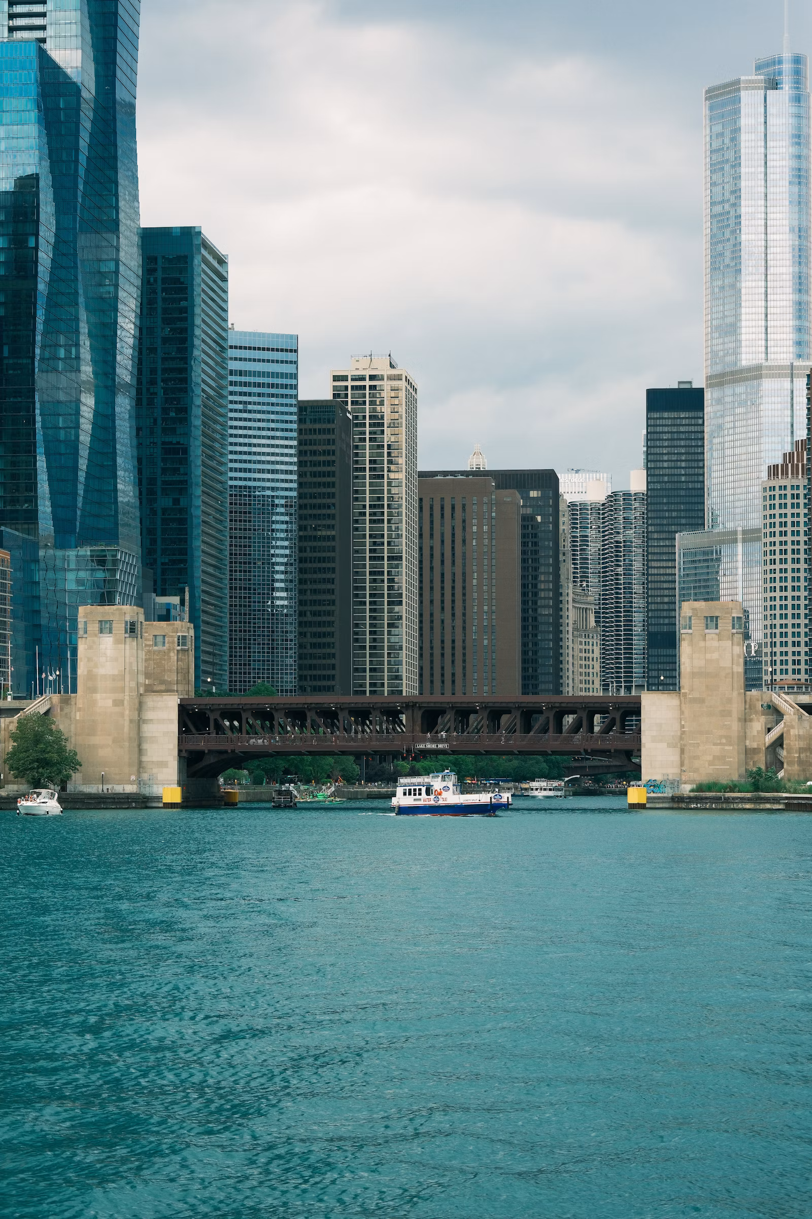 Chicago skyline architecture