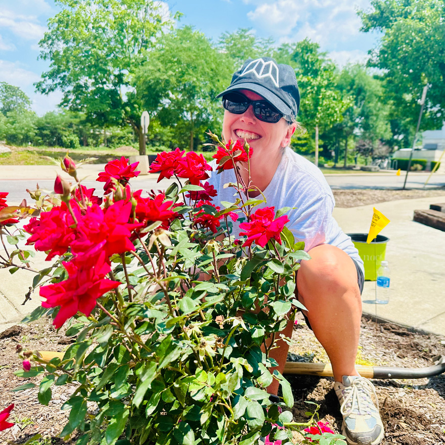Smiling woman in sunglasses and cap crouches planting vibrant red roses in a sunny garden bed.