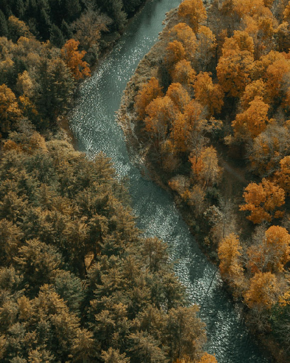 Aerial view of a river winding through an autumn forest.