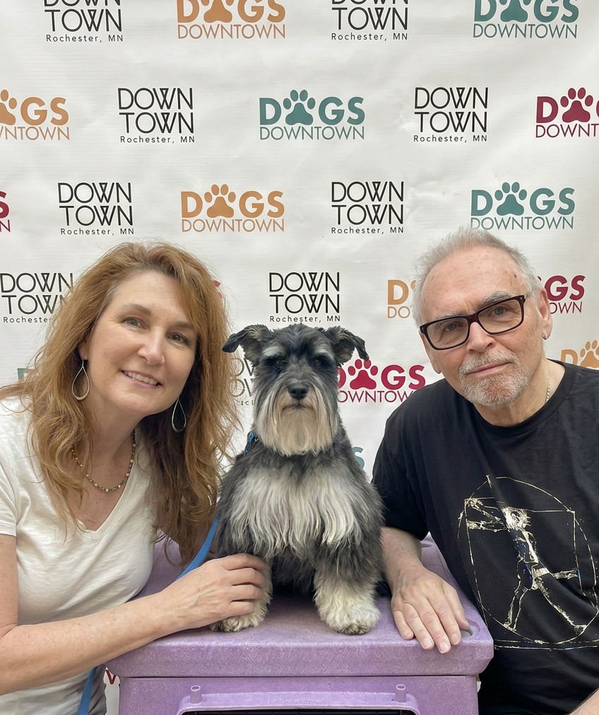 image of pet grooming activities