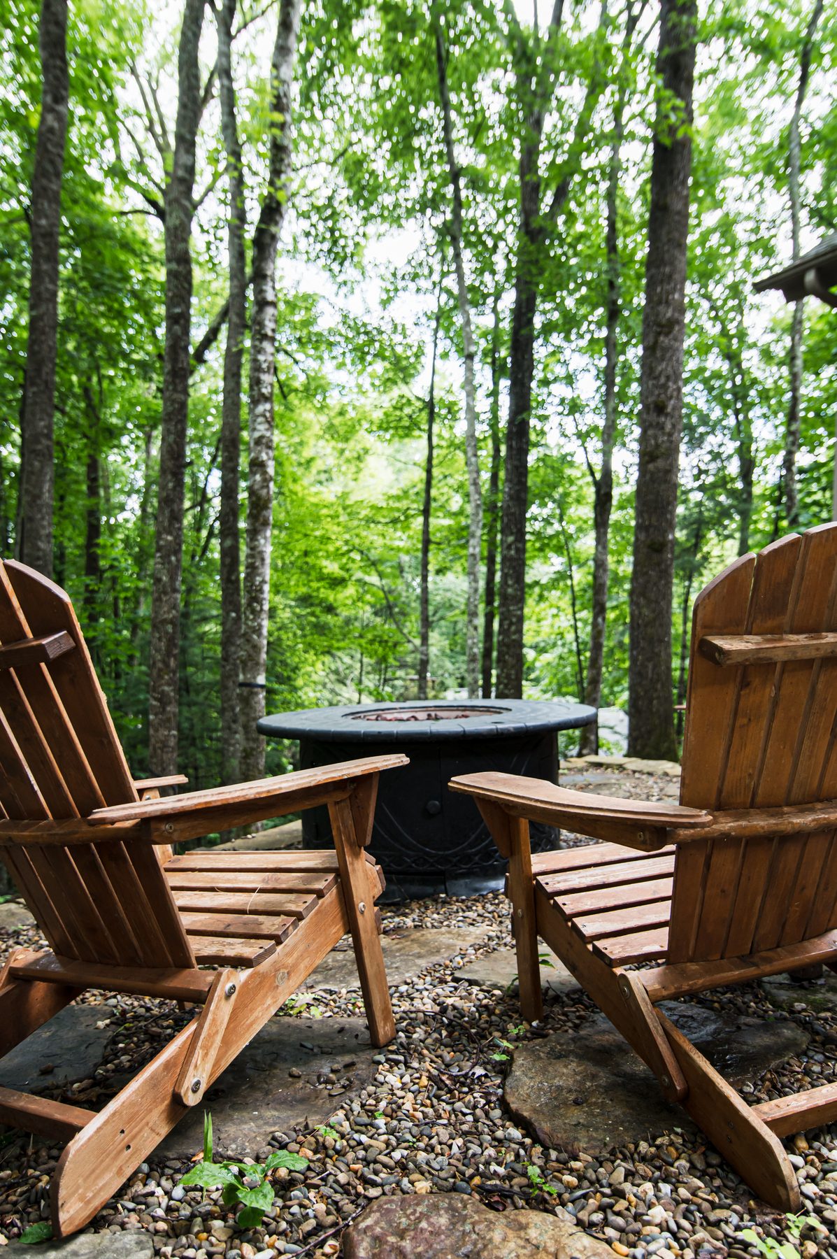 Two Adirondack chairs beside a firepit surrounded by tall forest trees behind the cottage