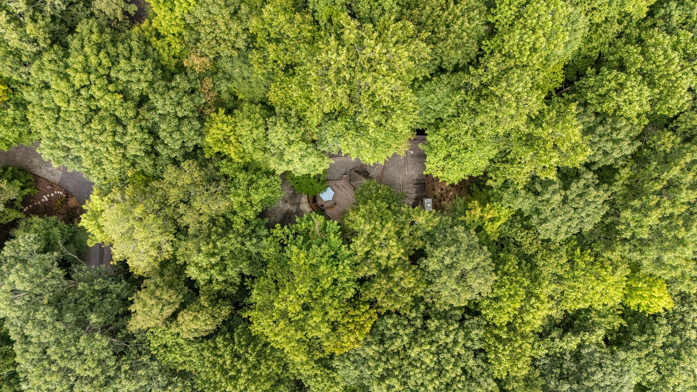 Aerial view of the cottage roof hidden in a dense forest canopy