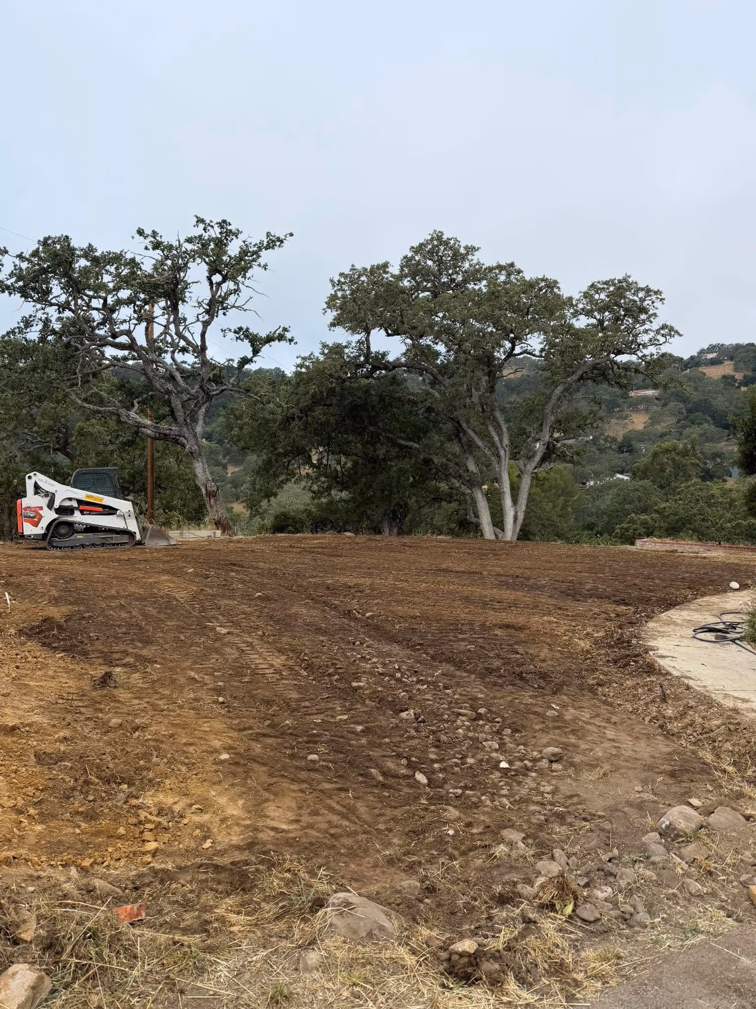 Wide shot of a freshly graded dirt area surrounded by oak trees, showing the progress of residential land grading in San Luis Obispo County.