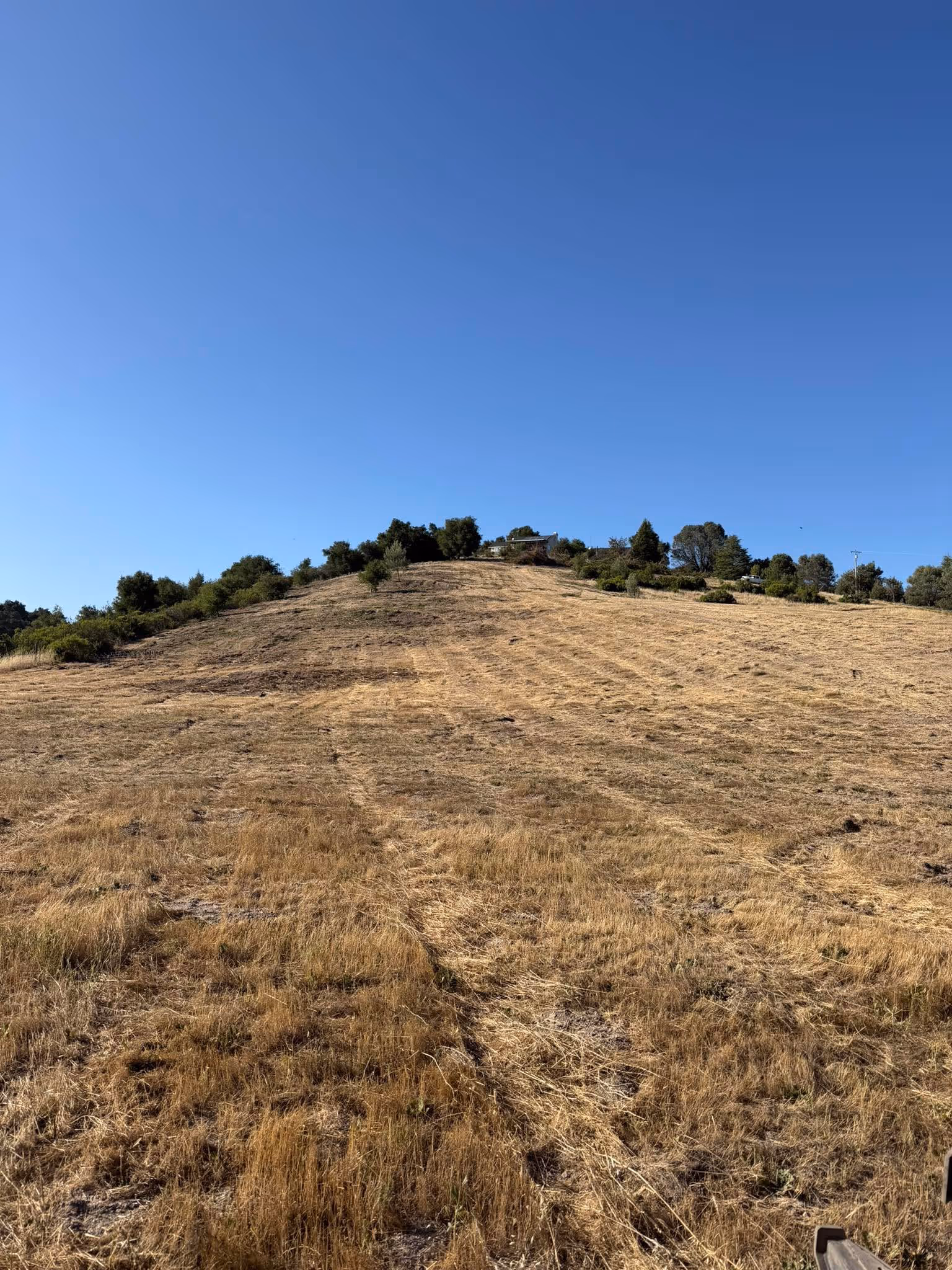 Expansive hillside with dry grass showing freshly mowed lines from professional weed abatement and fire clearance services in SLO County.