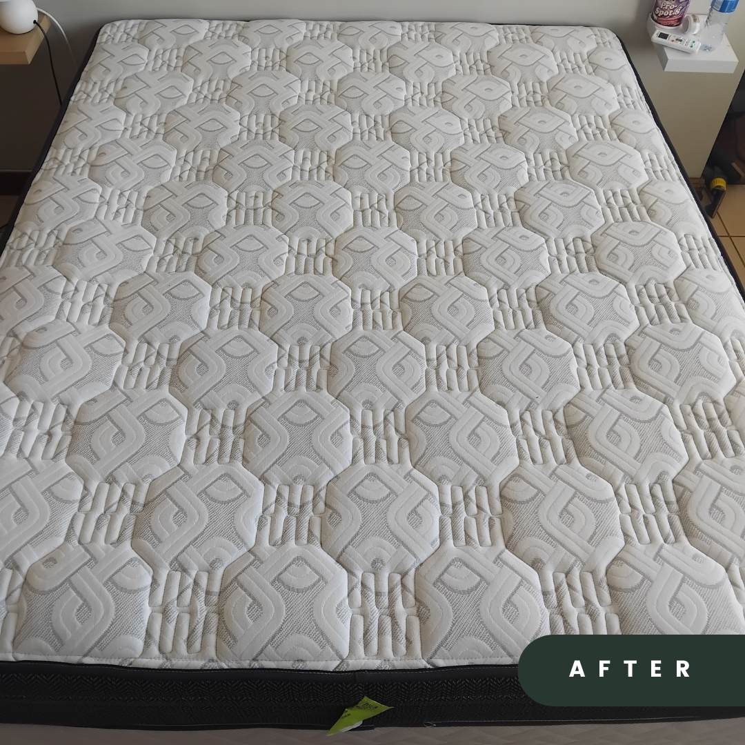 Mattress after cleaning