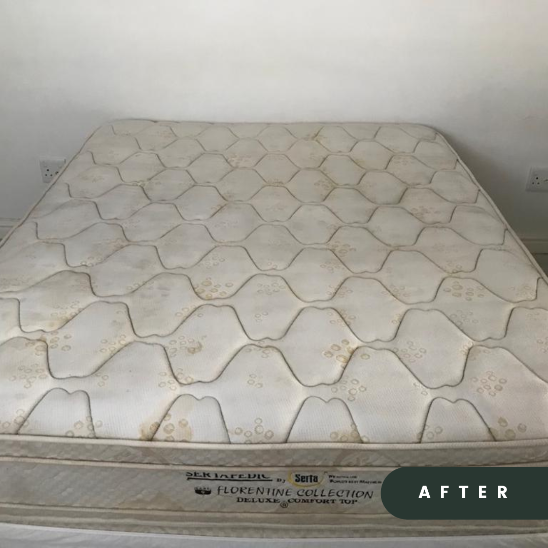 Mattress after cleaning