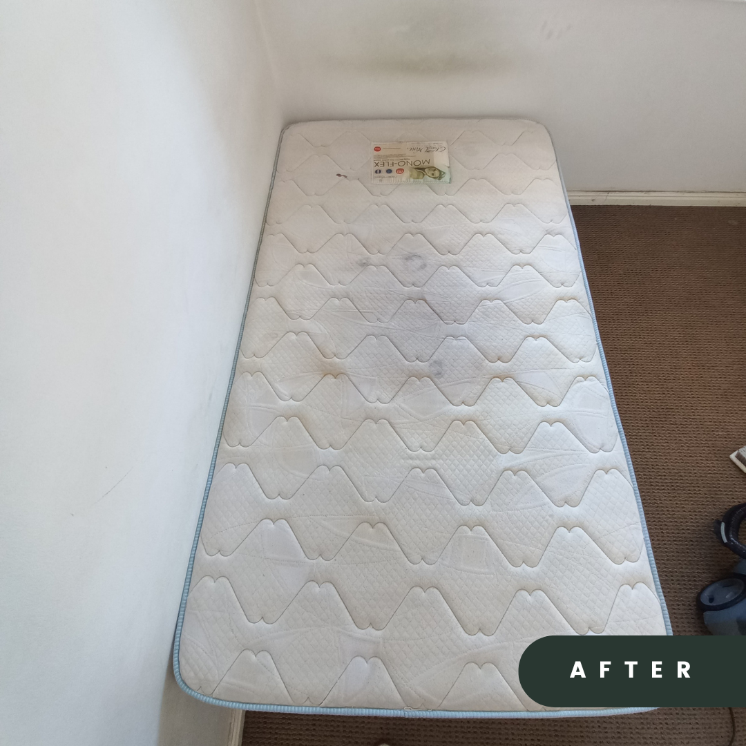 Mattress stain removed