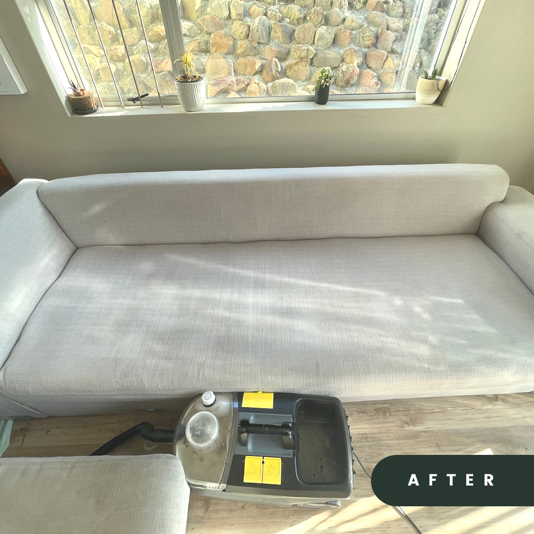 Couch after cleaning