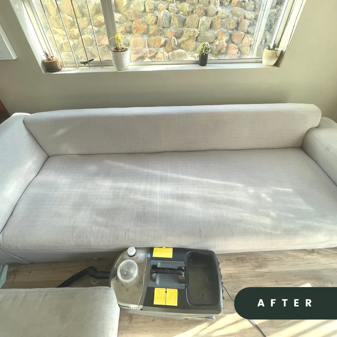 Couch after cleaning
