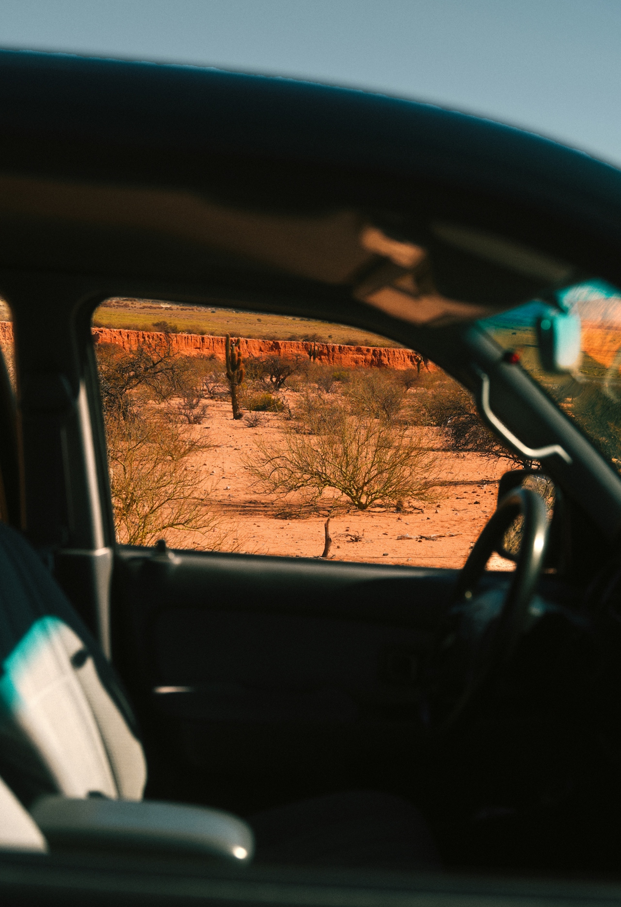 View of desert landscape with cacti and shrubs seen through a car window from inside the vehicle.