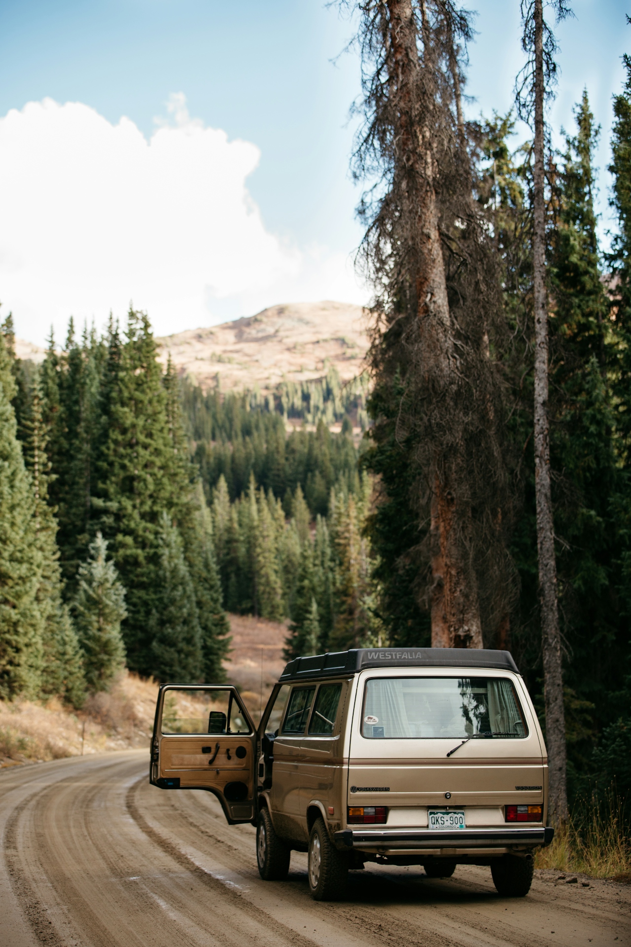 Beige Volkswagen Westfalia parked on dirt road with open driver door among evergreen forest.