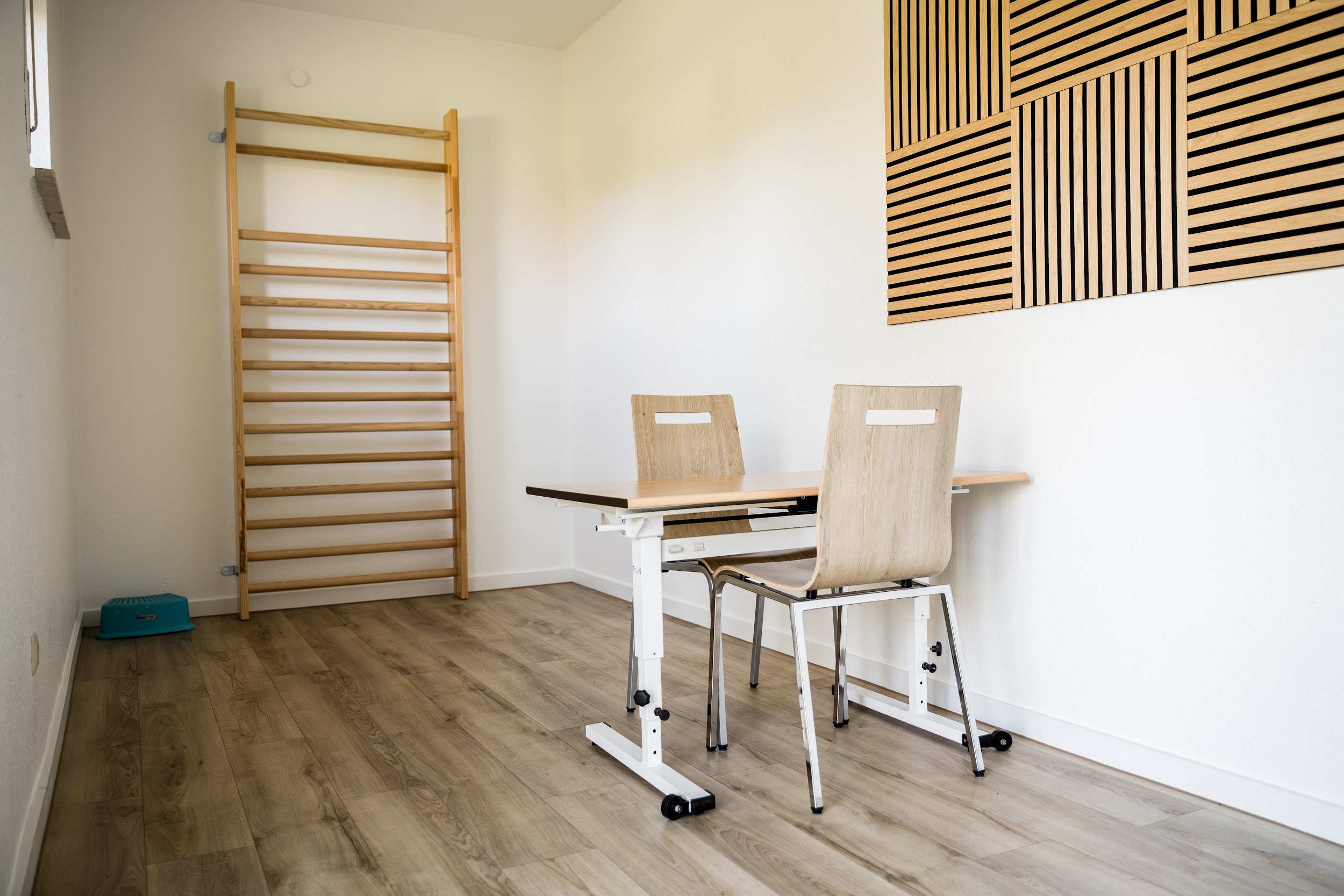 Therapieraum mit Sprossenwand