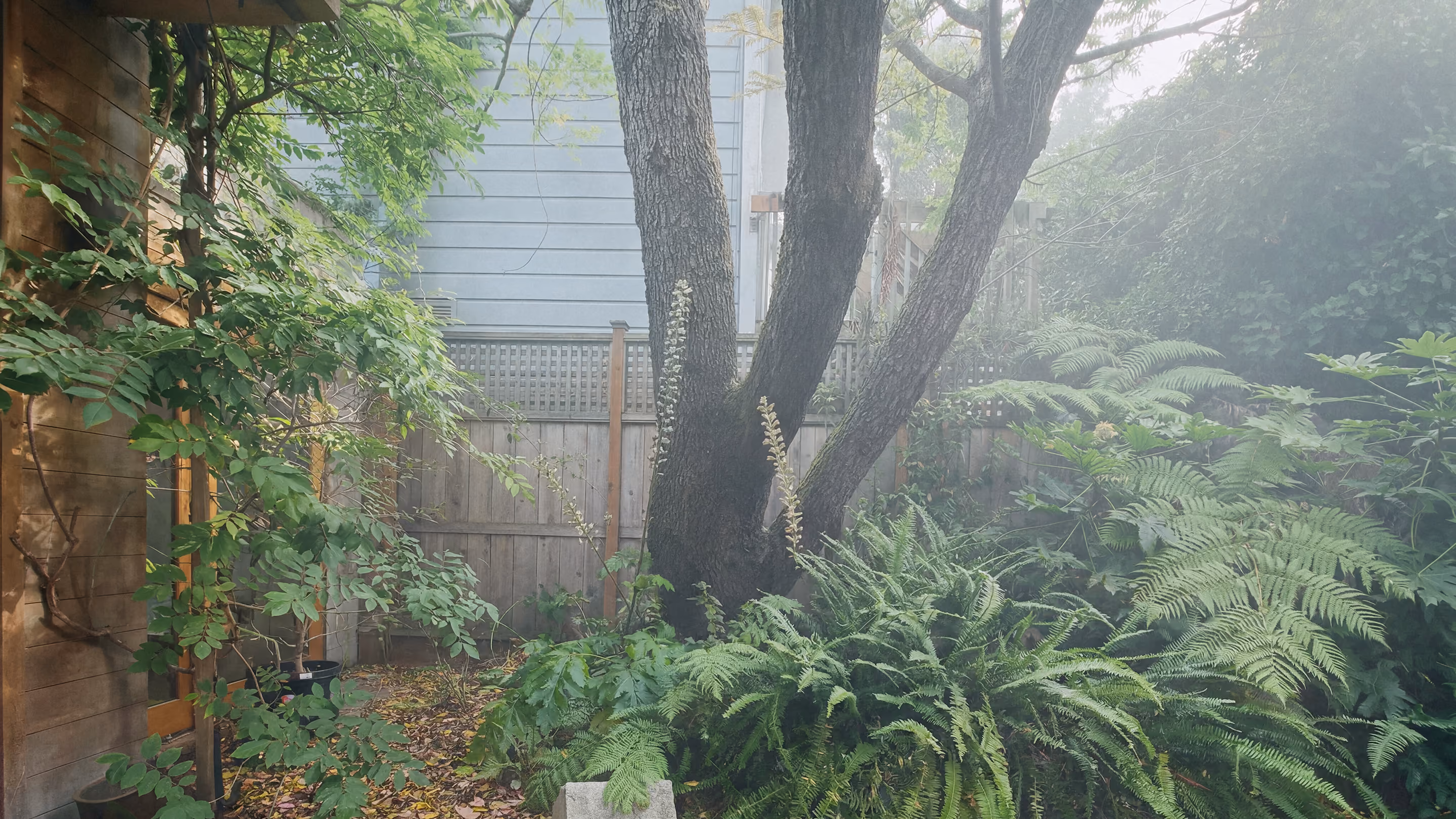Site photograph of the client's lush backyard garden, with the carriage house just visible at left.