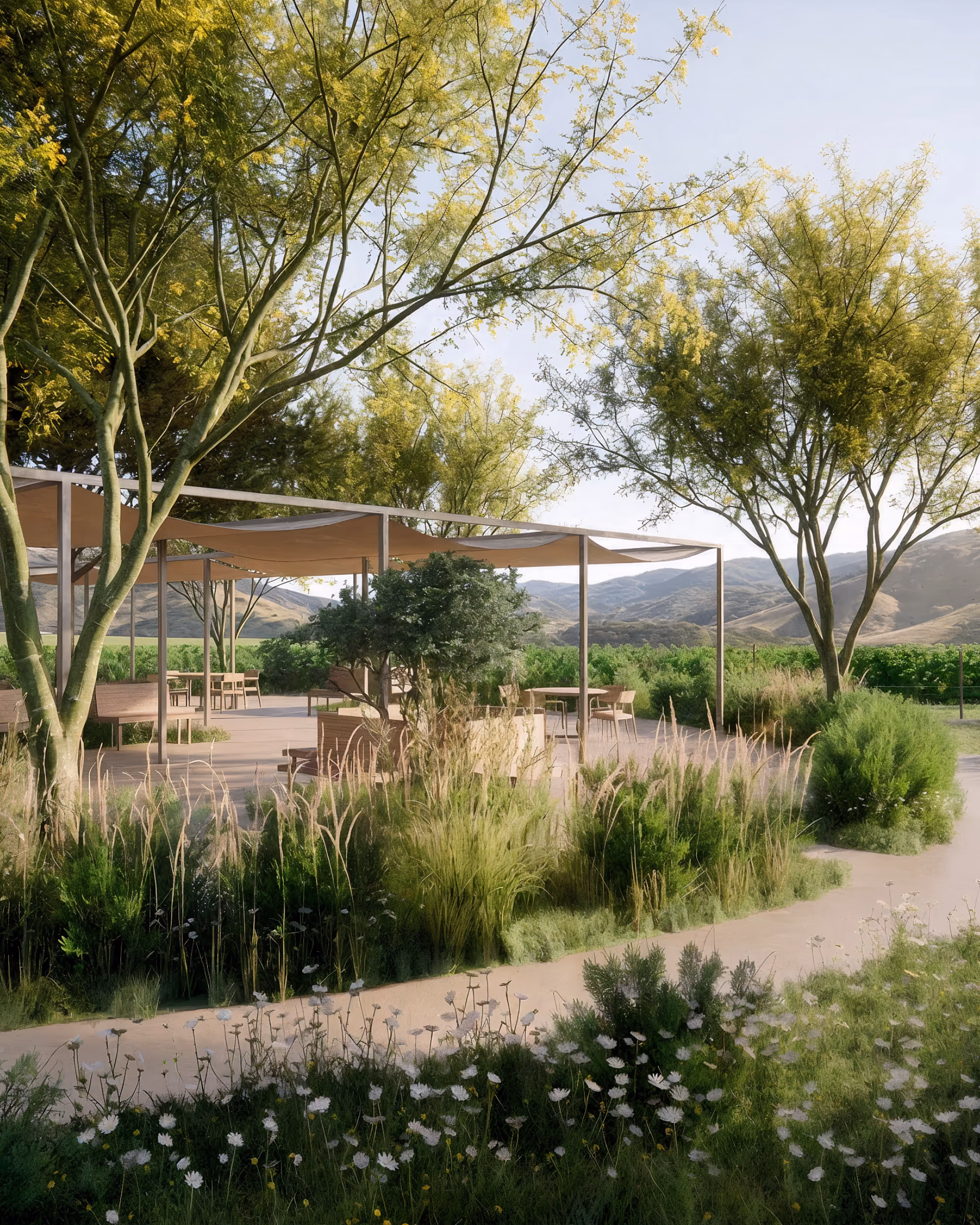 Outdoor patio at the Carmel Winery project with tables and chairs among green trees, lush plantings, and distant hills under a clear sky.