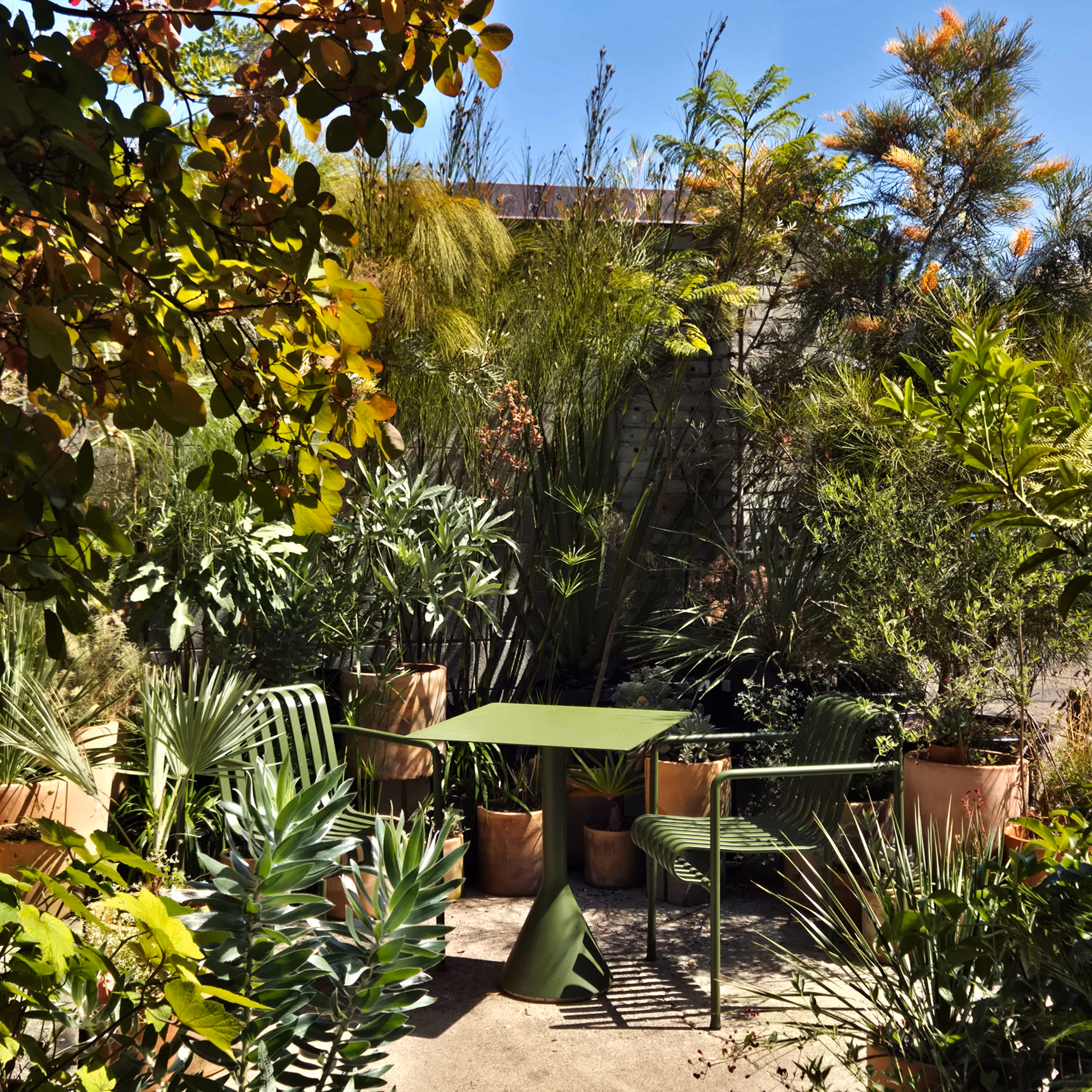 Green metal table and chairs surrounded by dense potted plants in a sunlit garden courtyard.