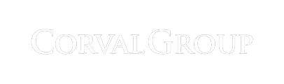 White text 'IISVGE' in bold italic font inside a black rectangle on white background.
