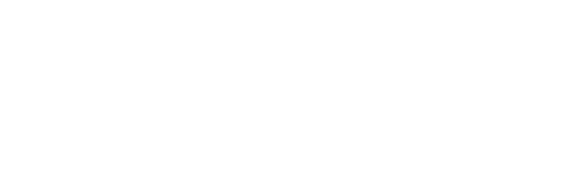 White text 'IISVGE' in bold italic font inside a black rectangle on white background.