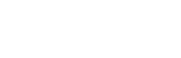 White text 'IISVGE' in bold italic font inside a black rectangle on white background.