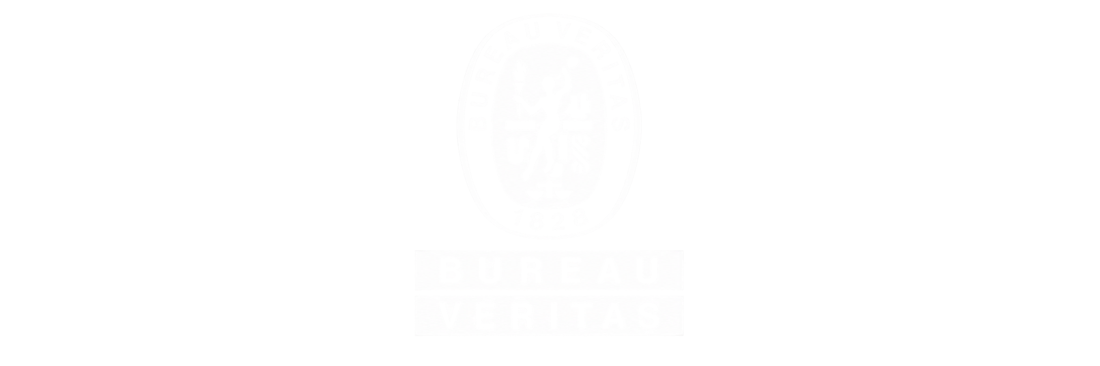 White text 'IISVGE' in bold italic font inside a black rectangle on white background.