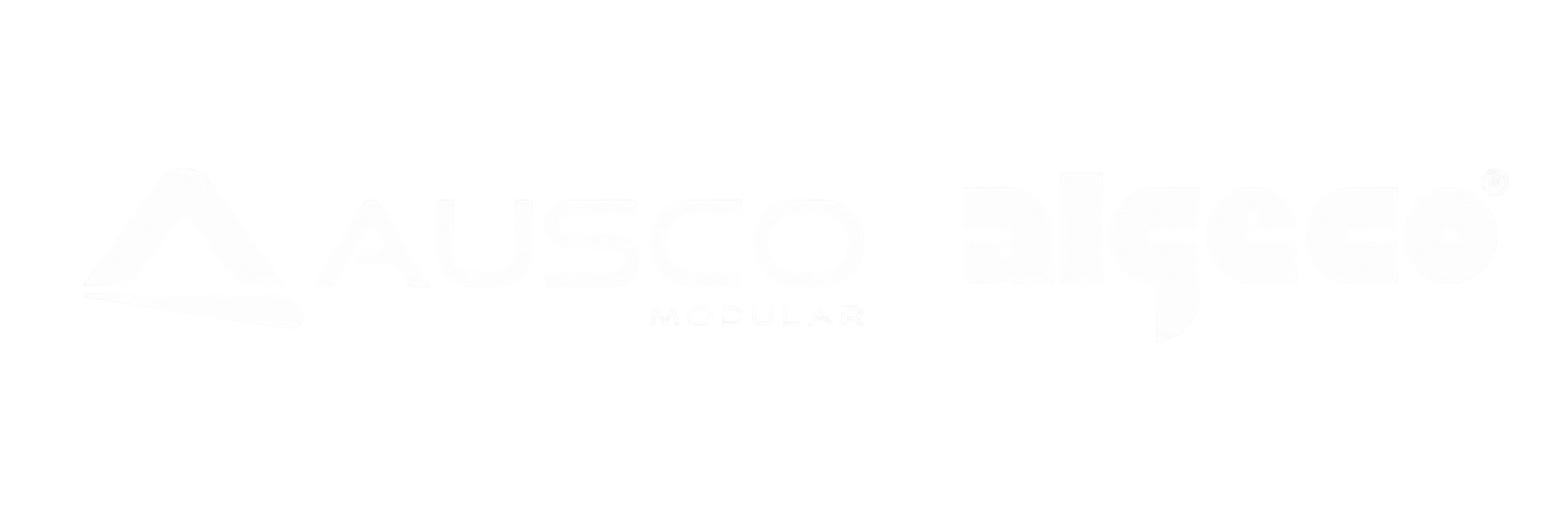 White text 'IISVGE' in bold italic font inside a black rectangle on white background.